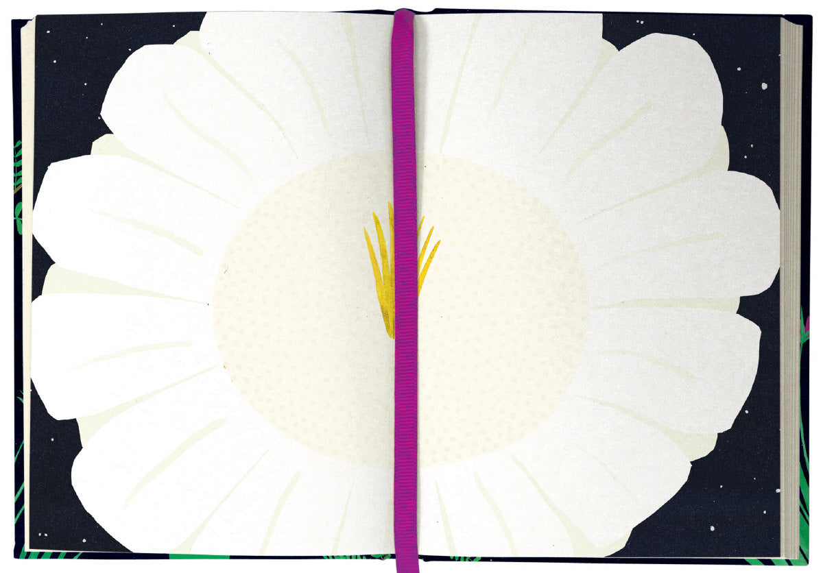 Roger la Borde Night Flower Illustrated Journal featuring artwork by Lara Hawthorne