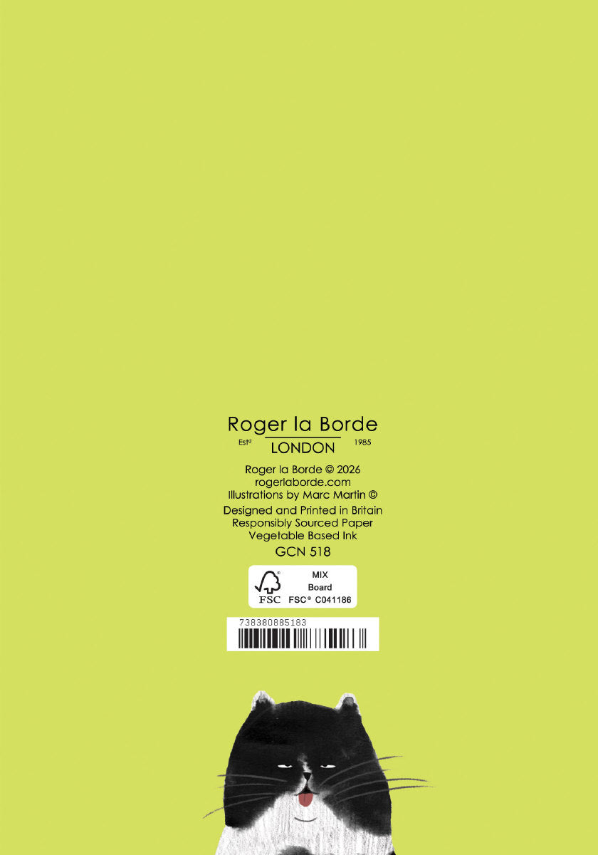 Roger la Borde Whoopsy Daisy Petite Card featuring artwork by Marc Martin