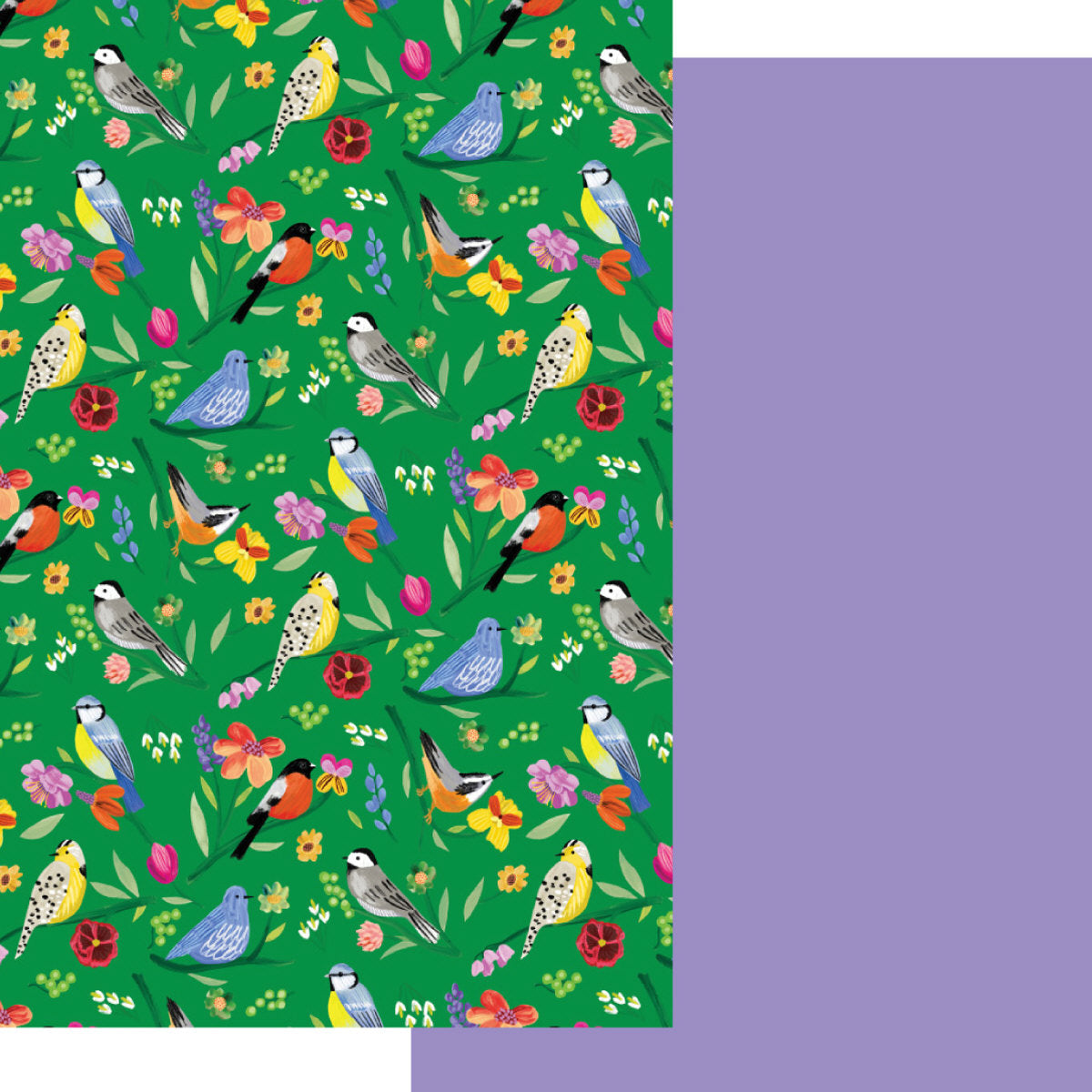 Roger la Borde Birdhaven Reversible Wrap featuring artwork by Katie Vernon