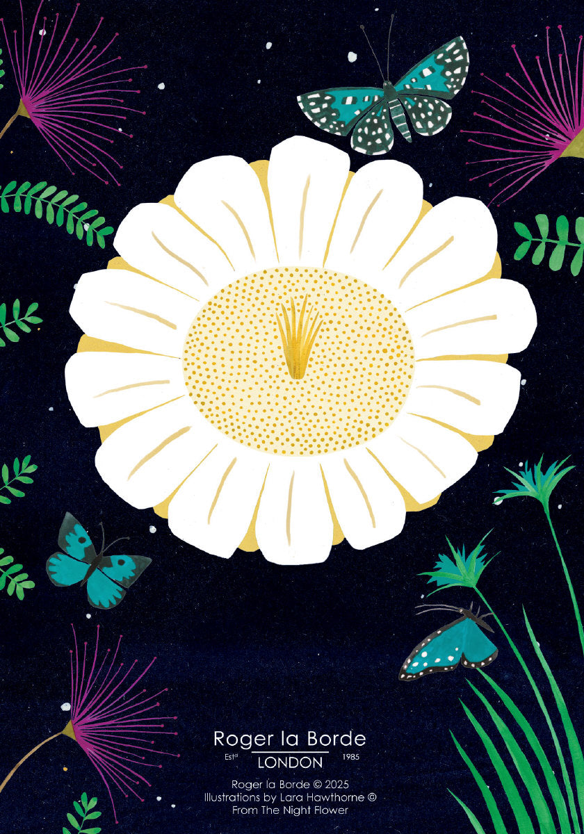 Roger la Borde Night Flower Notepad featuring artwork by Lara Hawthorne