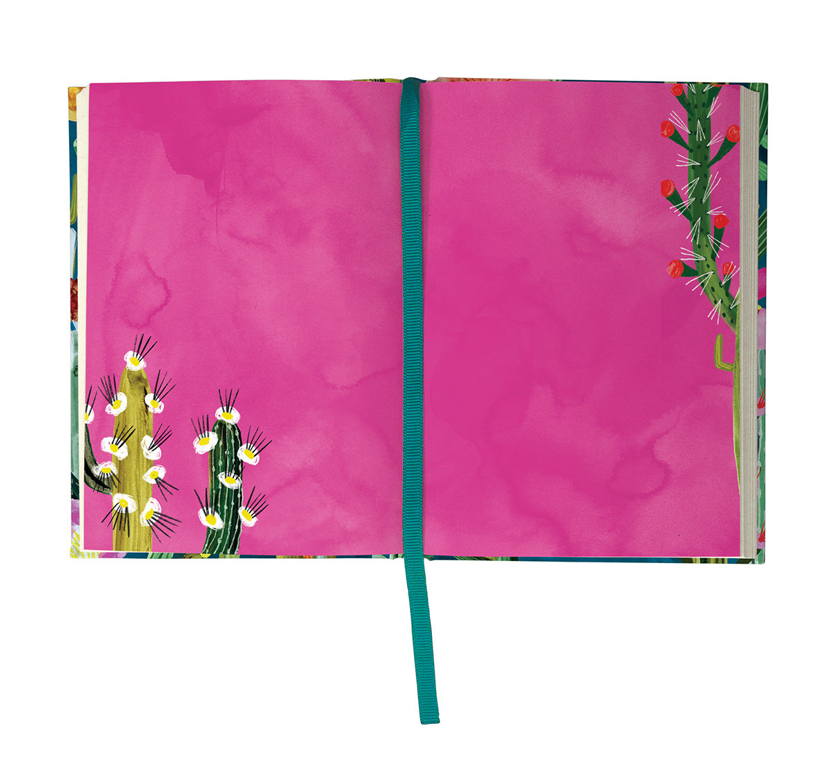 Cactusland Illustrated Journal