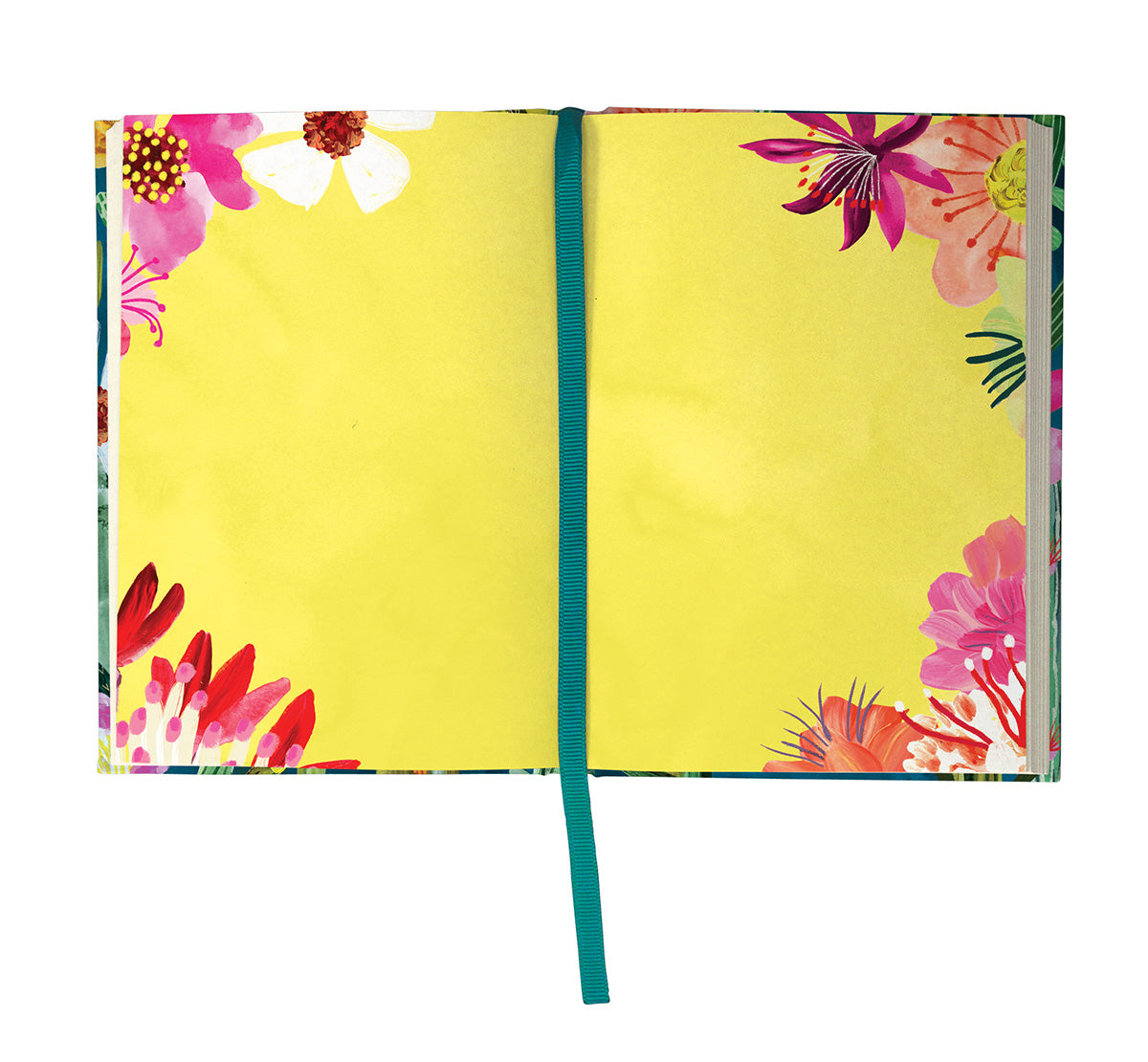 Cactusland Illustrated Journal