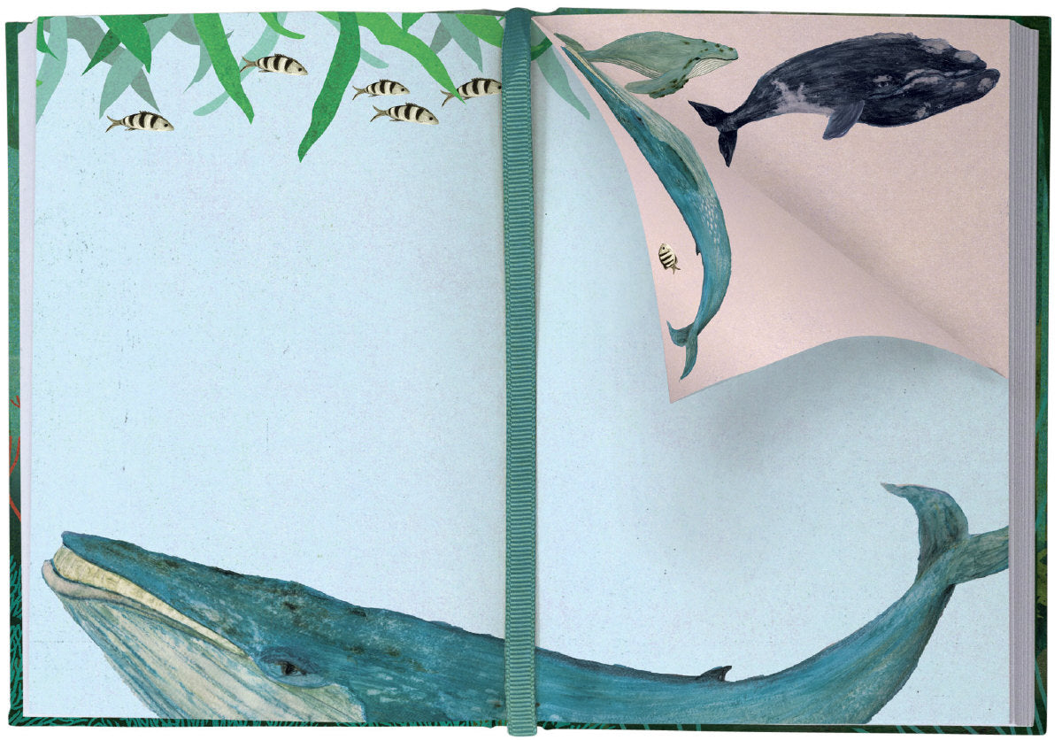 Roger la Borde Whale Song Illustrated Journal featuring artwork by Katherine Quinn