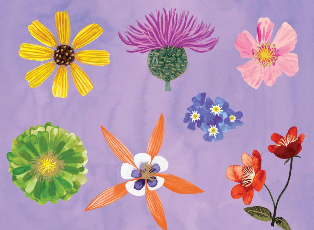 Roger la Borde Floral Supernova Chic Notecard Box featuring artwork by Katie Vernon