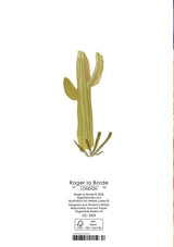 Roger la Borde Desert Moon Greeting Card featuring artwork by Melissa Lakey
