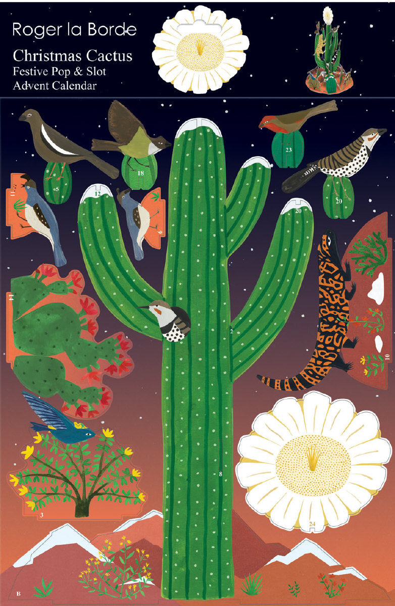 Roger la Borde Cactus Grove Large Pop & Slot Advent featuring artwork by Lara Hawthorne