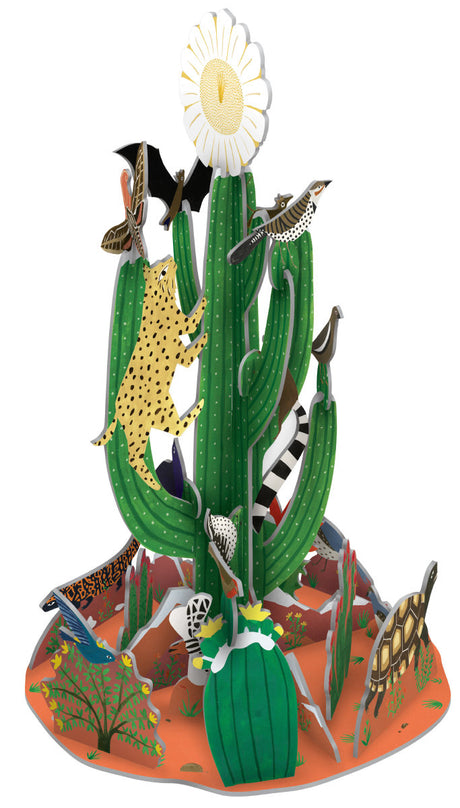 Roger la Borde Cactus Grove Large Pop & Slot Advent featuring artwork by Lara Hawthorne