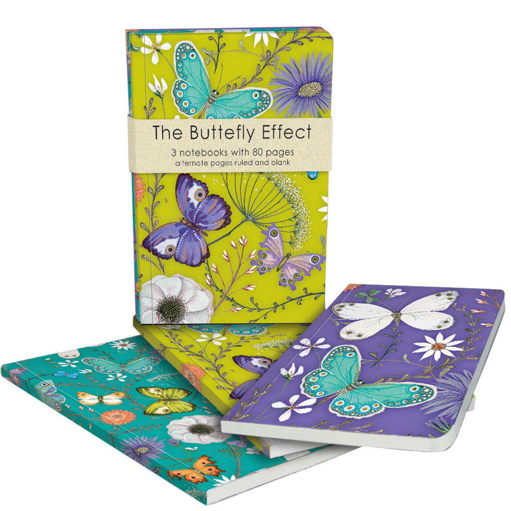 Roger la Borde Butterfly Ball Exercise Books Bundle featuring artwork by Jane Ray