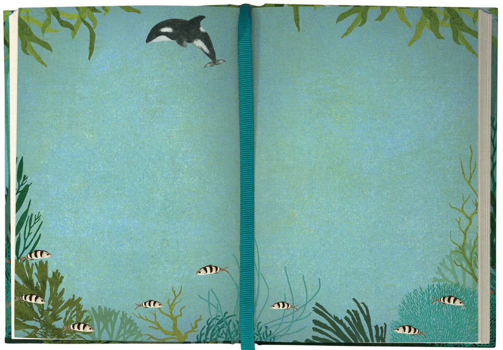 Roger la Borde Whale Song Illustrated Journal featuring artwork by Katherine Quinn