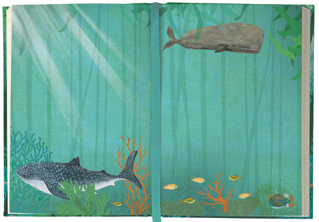 Roger la Borde Whale Song Illustrated Journal featuring artwork by Katherine Quinn
