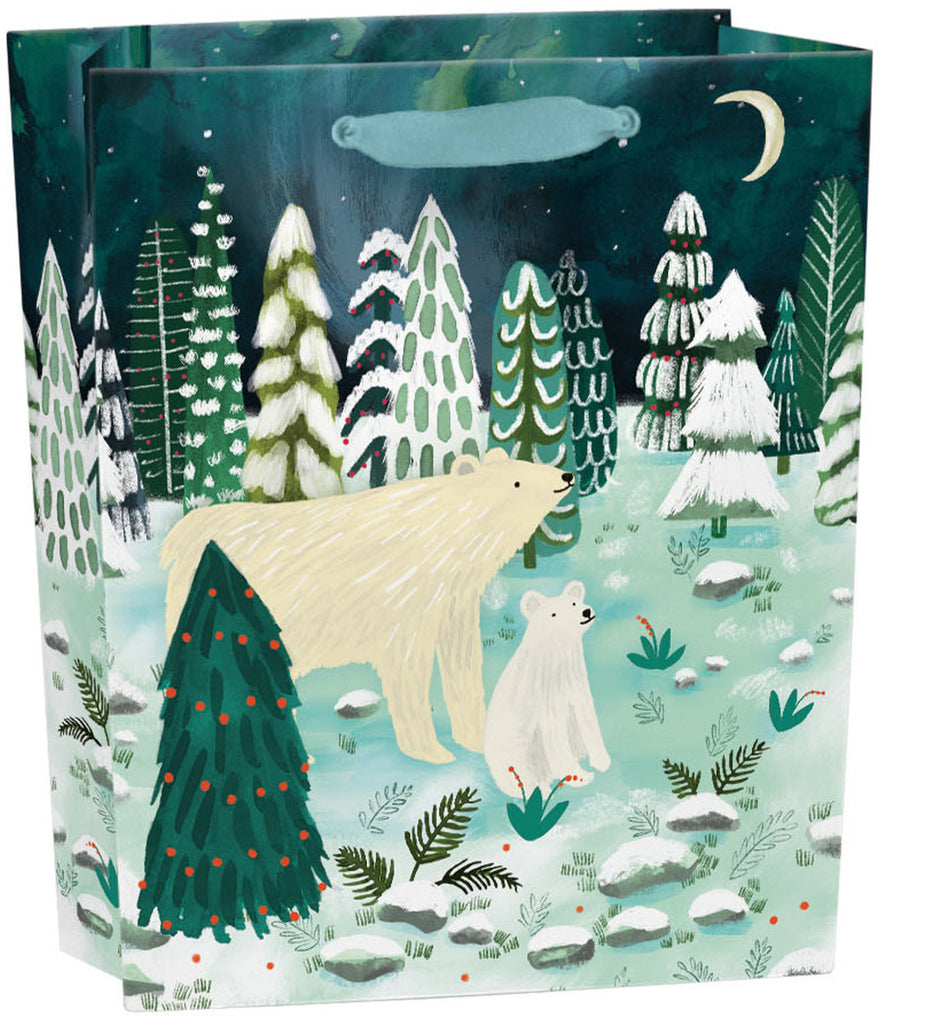 Roger la Borde Northern Lights Small Gift Bag featuring artwork by Katie Vernon