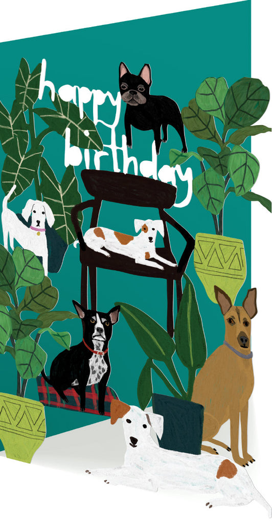 Roger la Borde Cat and Dog Palais Lasercut Card featuring artwork by Anne Bentley