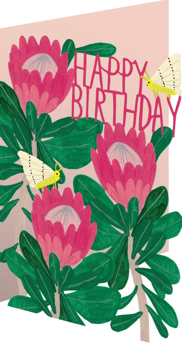 Roger la Borde King Protea Lasercut Card featuring artwork by Kate Pugsley