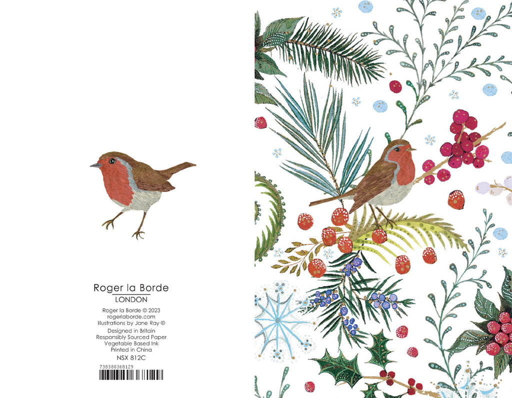 Roger la Borde Christmas Charity Card Pack featuring artwork by Jane Ray